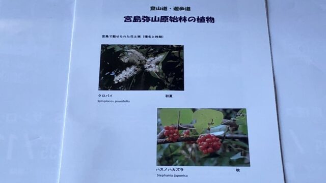 書籍「宮島弥山原始林の植物」