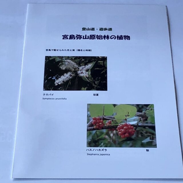 Book "Miyajima Misan Primitive Forest Plants"