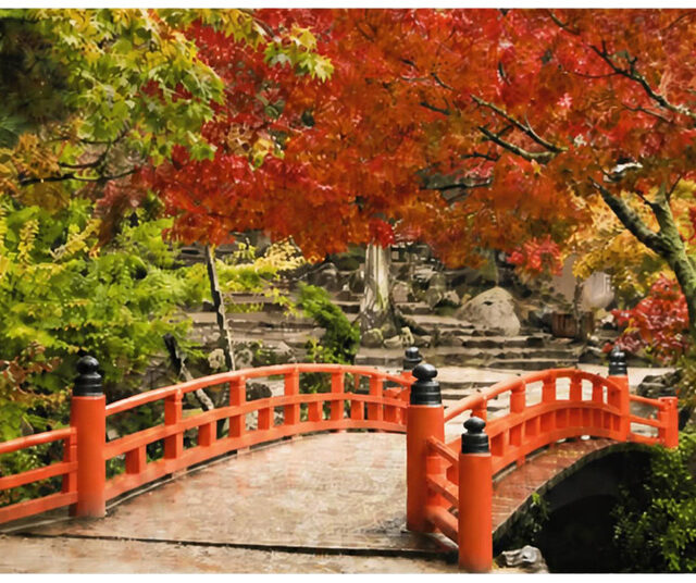 樹木医と歩く宮島紅葉狩りエコツアー